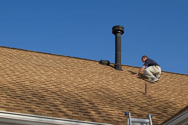 Best Roof Moss and Algae Removal  in Apple Mountain Lake, VA